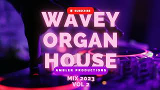 Download Lagu Wavey Organ House Mix 2023 Vol 2 MP3