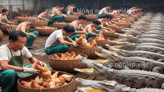 Trung Quốc Nuôi Hàng Triệu Con Cá Sâu Theo Cách Này - Trang Trại Cá Sấu