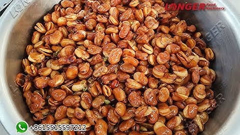 Automatic Broad Bean Frying and Seasoning Machine Manufacturer