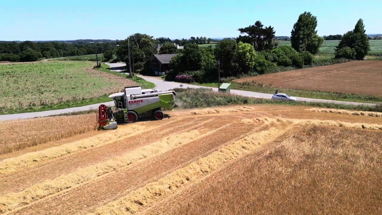 Moisson d’orge 2025  Bretagne 🌾🚜