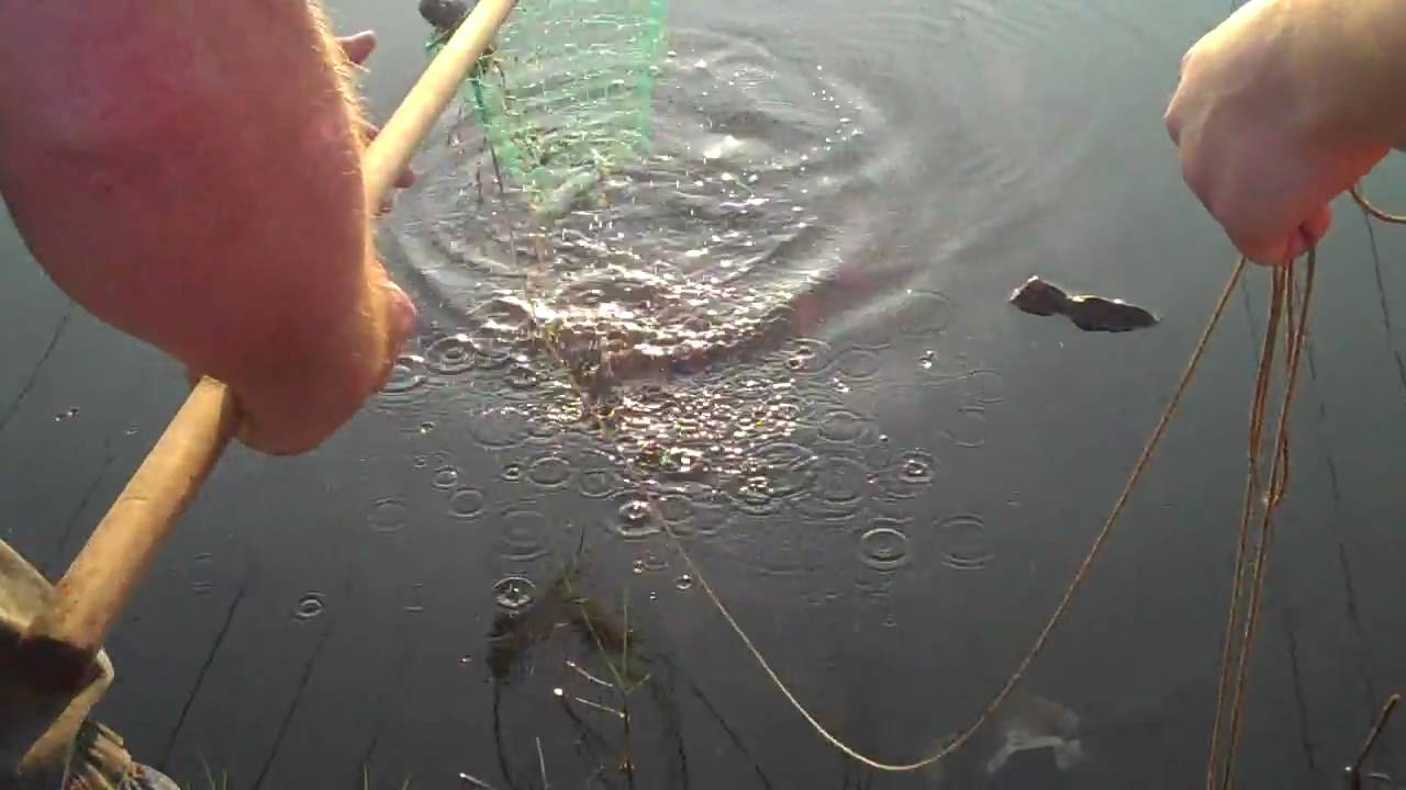 Crabbing in Galveston 02.MP4 YouTube