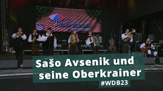 Sašo Avsenik und seine Oberkrainer - Live at Woodstock der Blasmusik 2023