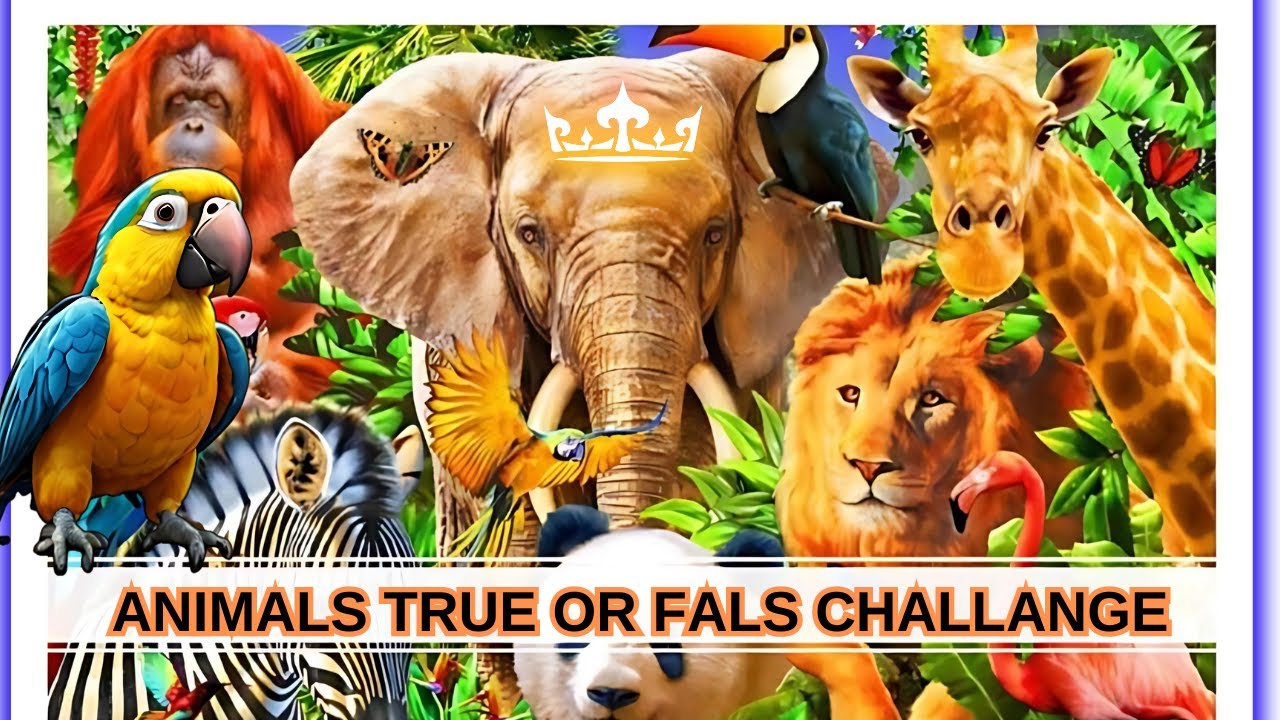 5 CRAZY ANIMALS FACTS for Kids That Will Blow Your Mind! - YouTube