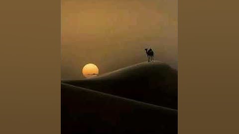 وهو الذي خلق الليل والنهار والشمس والقمر القارئ عبد الرزاق زعتر حفظه الله