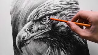 ASMR - Drawing an Eagle with Charcoal - No Talking