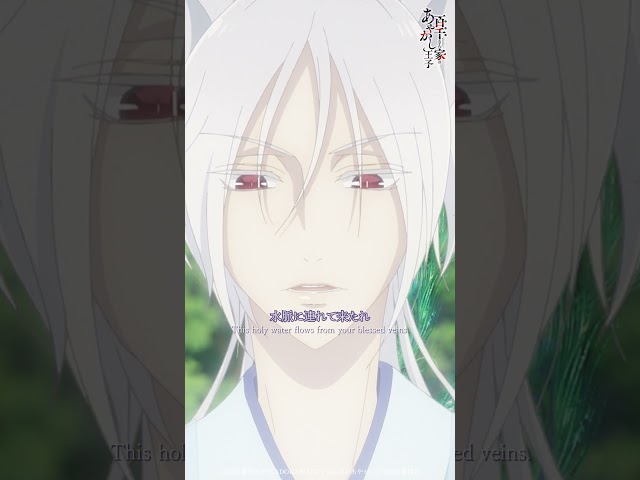 お願いします龍神様……🐉🙏|TVアニメ「#百千さん家のあやかし王子」其ノ六『泡沫今昔』 #ももちさん #川井田夏海 #大塚剛央 #anime ...