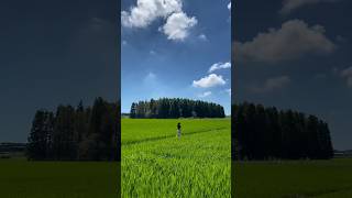 something’s shifting in my life, but I can’t quite tell what it is?…