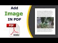 How to add images in a pdf using adobe acrobat pro dc