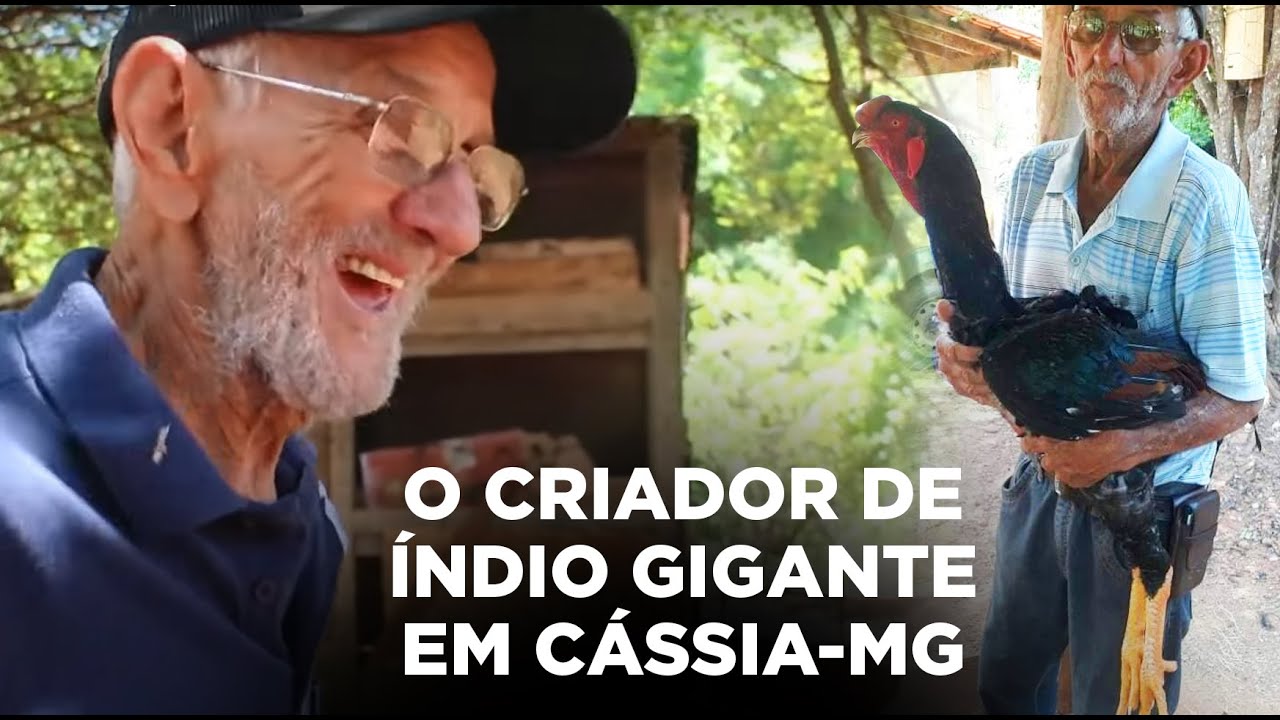 VENDO A R$ 2500,00 A DÚZIA