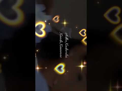 Kaadhal Sonna Kanamae Ar Rahman Ale Ale Song Love Tamil Whatsapp Status Kaadhal Sonna Kanamae Ar Rahman Ale Ale Song Love Tamil Whatsapp Status
