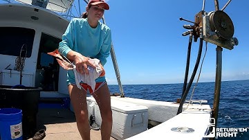 Tagged and Surface Released Red Snapper