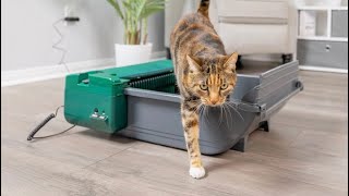 حمام ذكي للقطط screenshot 1