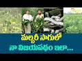 Mulberry Plantation | Sericulture | మల్బరీ సాగులో నా విజయం... Tone Agri