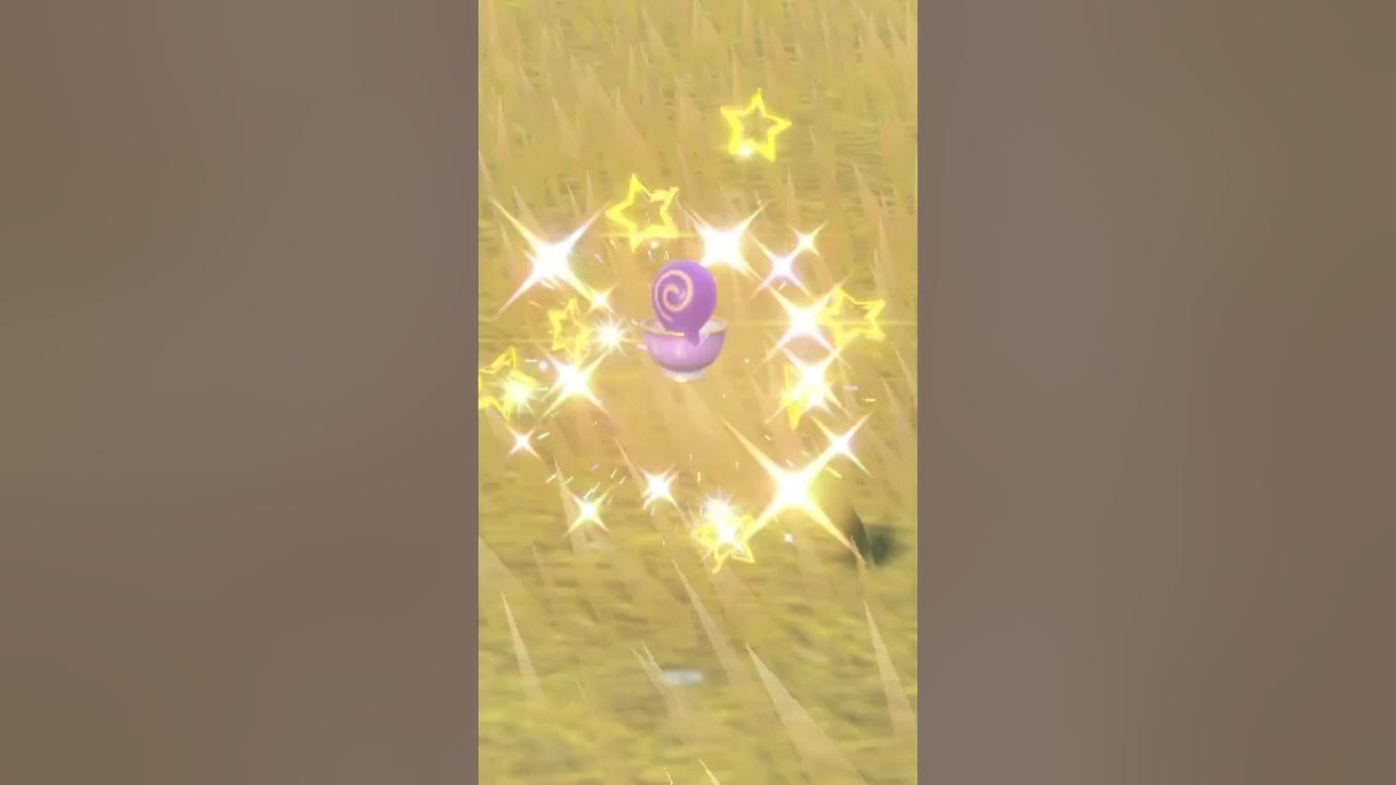 Shiny Sinistea wild encounter + how to tell if it’s authentic pokemonviolet shinypokemon ポケモン