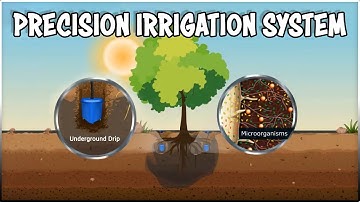 System of Water for Agricultural Rejuvenation | Precision irrigation System