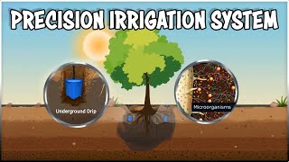 System of Water for Agricultural Rejuvenation | Precision irrigation System