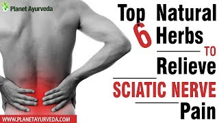 Top 6 Natural Herbs to Relieve Sciatic Nerve Pain
