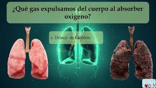 Test del Sistema Respiratorio  Enfermería mas humana ¿Cuánto sabes?