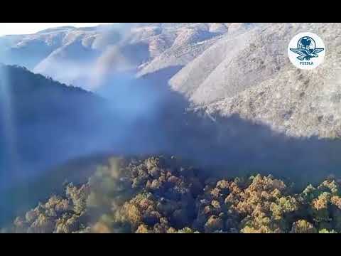 Incendio en Vicente Guerrero controlado al 90%