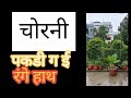 gardening #गिलहरी #pets