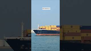 MSC MAGNOLAI.V @christianGms7475 #fypシ #containership #marineservices #harbour