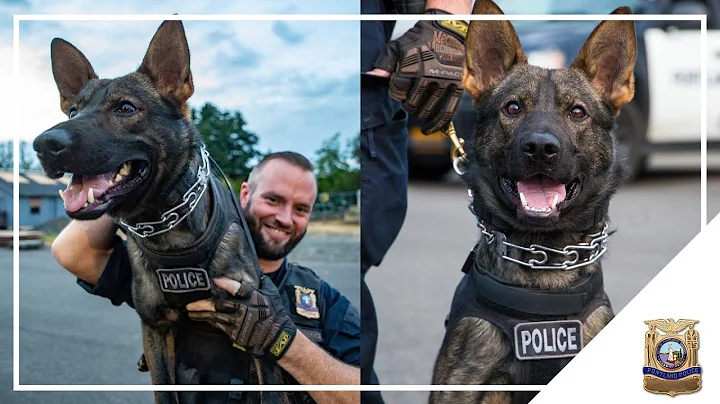 MEET K9 GRIFFEY