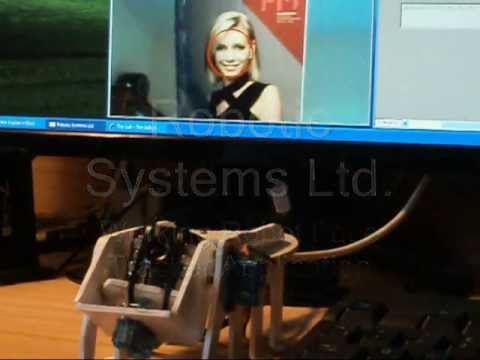 Working Robot Face Tracker using OpenCV DLL and LabVIEW