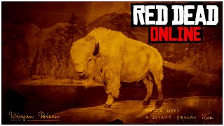NEW UPDATE Fixes Legendary Animals and Disconnection Issues in Red Dead Online!