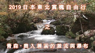 2019日本東北賞楓行之青森‧奧入瀨溪的激流與瀑布