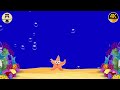 Soothing Baby Music🎵 Sleep Instantly in 3 Minutes 🌙 Overcome Insomnia 💤 Mozart Brahms Lullaby #62
