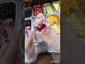 How popular street foods are made