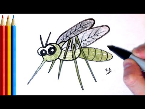 How to Draw mosquito - Step by Step Tutorial - YouTube