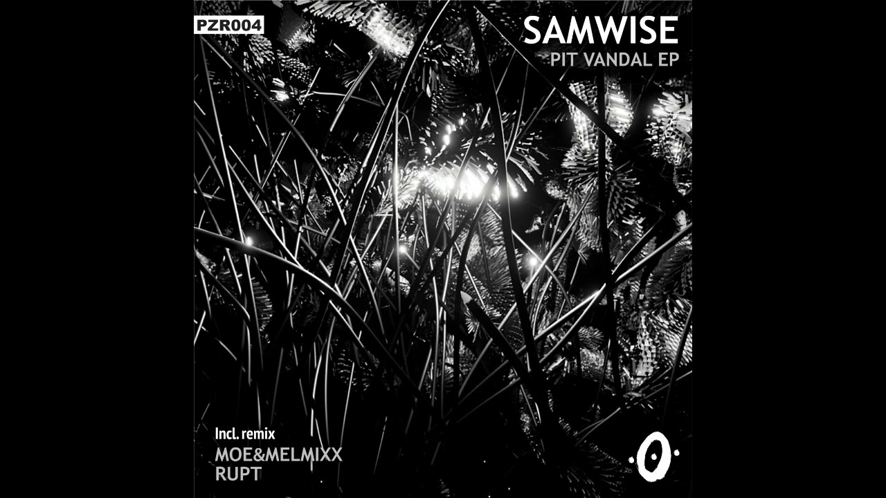 Samwise - On Demand (Rupt Remix) [POINTZER0 Rec]