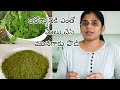 మునగాకు పొడి ఆరోగ్యానికి ఎంతో మేలు|| Moringa Powder for health