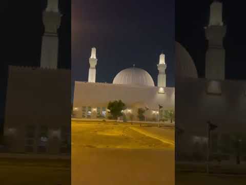 Dubai Mosque Night View #dubai #mosque #dubailife #nightview #uae #city #arabic #dubaiexpo #model
