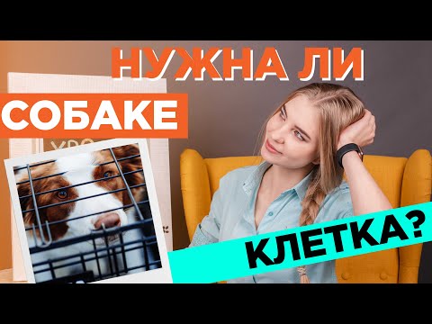 Нужна ли собаке клетка?