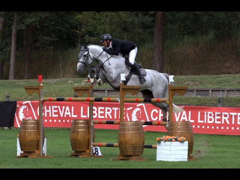 SAMOURAI DE COLCHIC (diamant de Semilly x Lama des Landes)