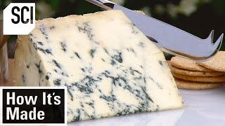 How It's Made: Blue Stilton Cheese screenshot 4