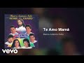 Marco Antonio Solís, Los Bukis - Te Amo Mamá (Audio)