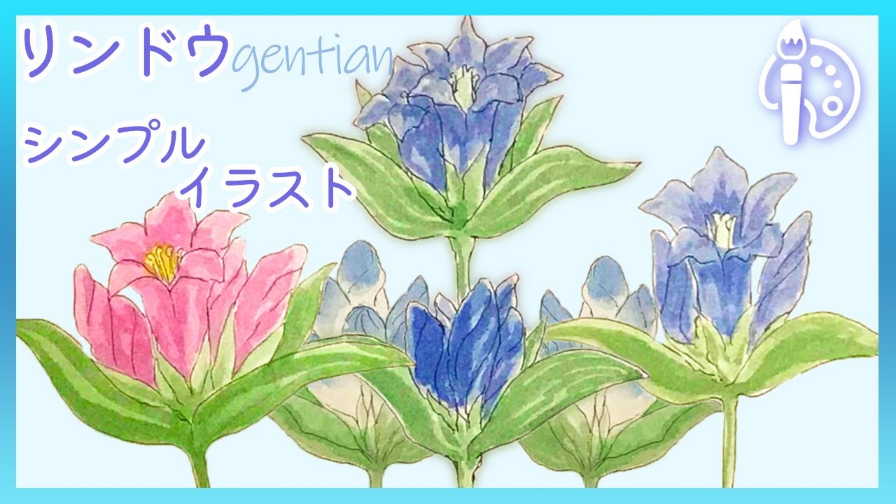 シンプルで描きやすい リンドウの描き方 お花のデフォルメ イラスト Youtube
