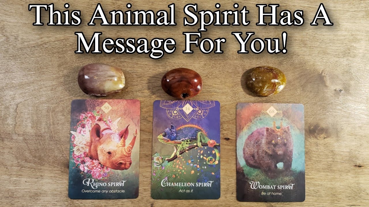🐻🐾 This Animal Spirit Has A Message For You! 🐾🐮 Pick A Card Reading ...