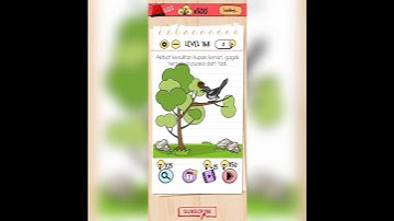 brain test level 168