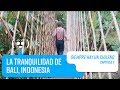 Capítulo 2: Bali, Indonesia | Siempre hay un Chileno