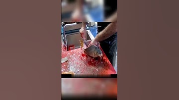 ikan segar langsung di pot*Ng menjadi ikan bakar #shorts