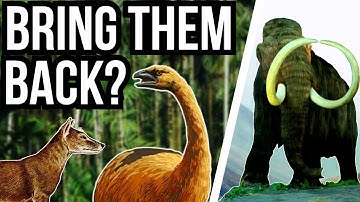 5 Animals That Scientists Are Trying To Bring Back From Extinction