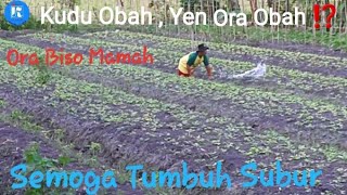 THE REAL| Kehidupan di desa , bincang asyik bersama @Pak Asrori