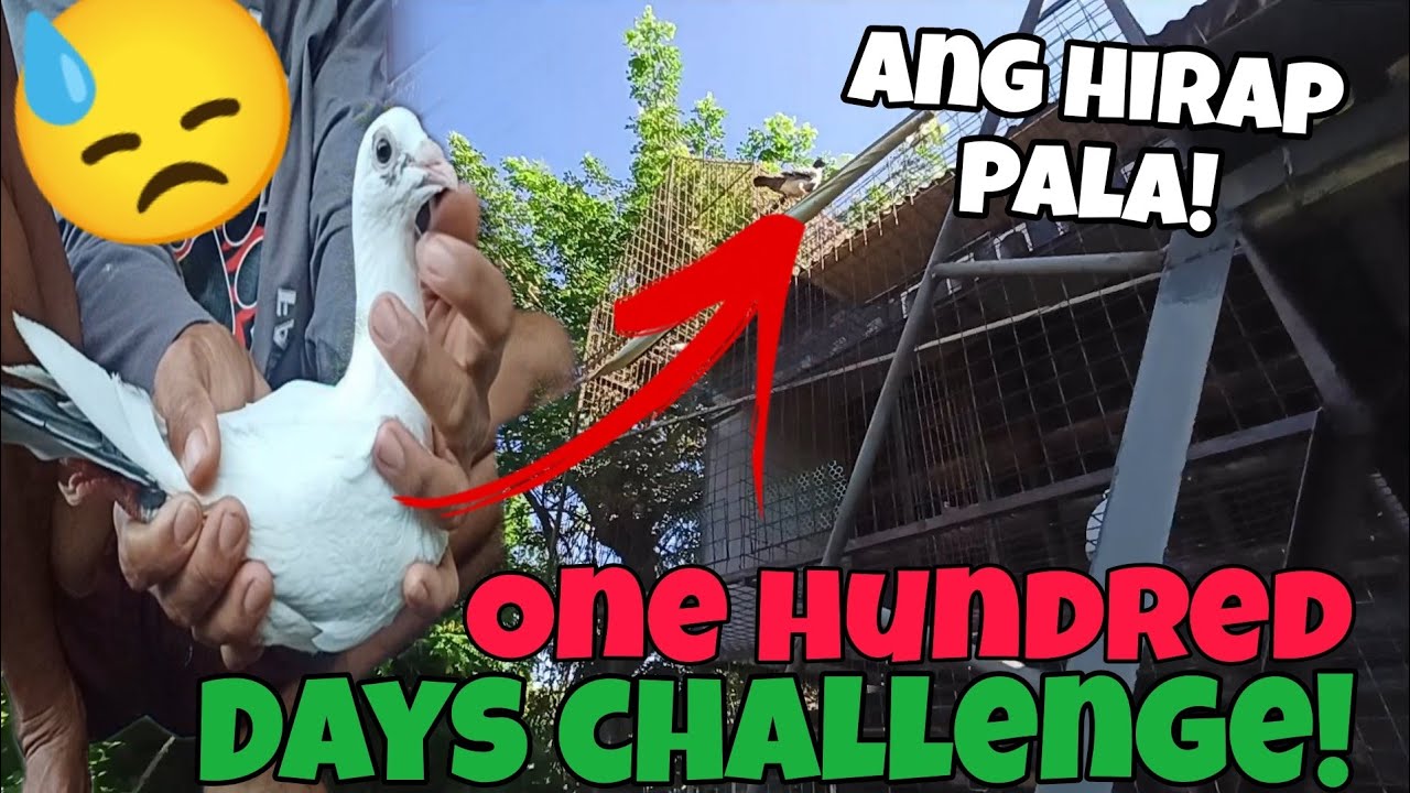 FIRST TIME NAMIN SASALI SA 100 DAYS CHALLENGE | TEAM CHAMBALERO BROTHERS LOFT