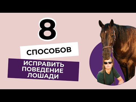 8 СПОСОБОВ избавиться от вредной привычки лошади!