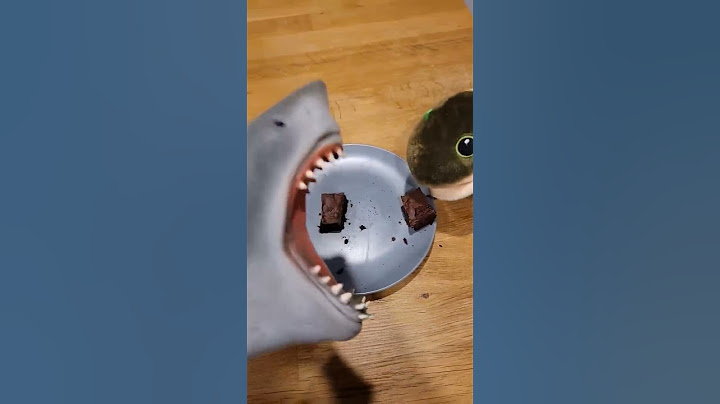 Hungry Hand eats Brownie with Toto!