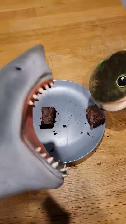 Hungry Hand eats Brownie with Toto!